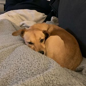 Meet your Posher, Ali